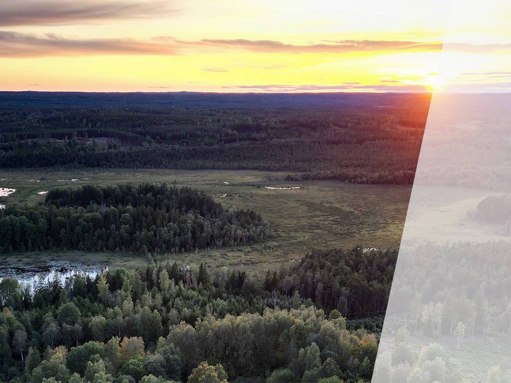 NACHHALTIGKEIT AUS ÜBERZEUGUNG