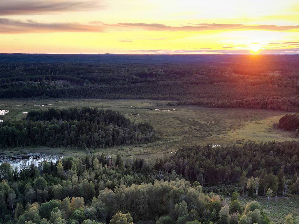 NACHHALTIGKEIT AUS ÜBERZEUGUNG