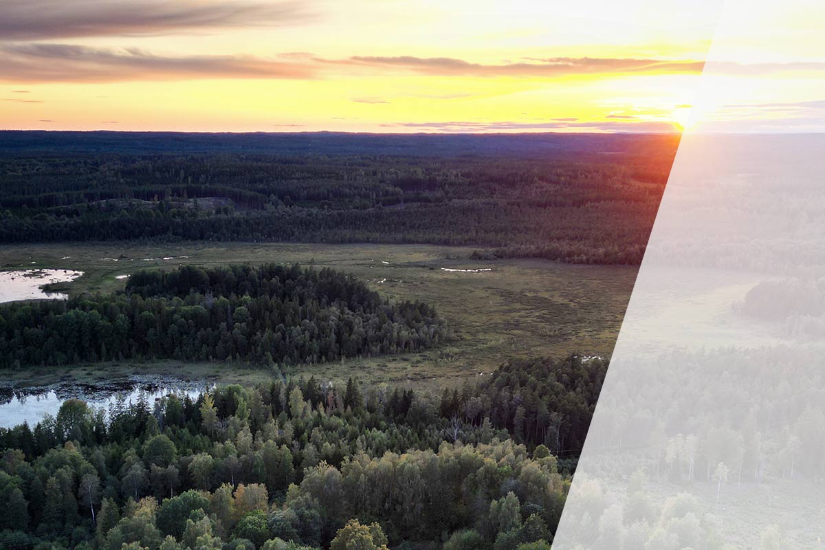 Nachhaltigkeit bei Luxor Solar