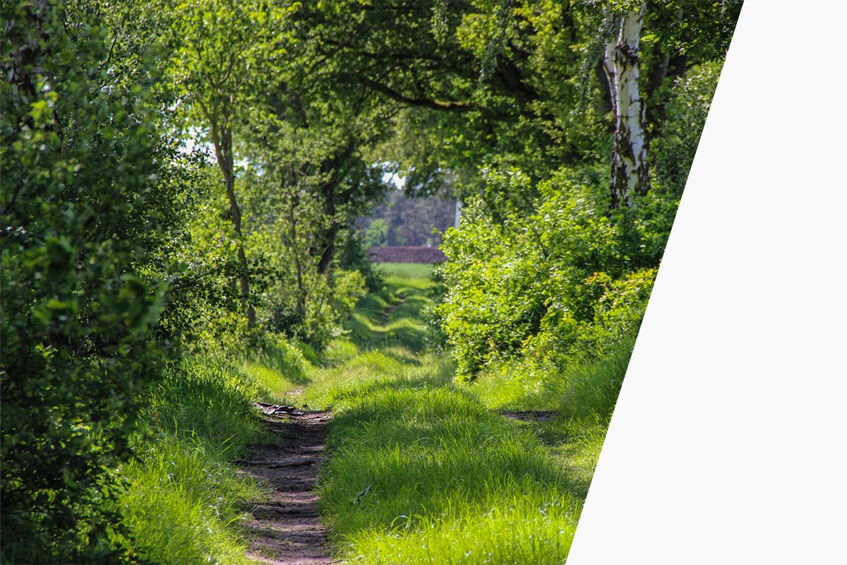 Luxor Solar - Governance & Werte – Verantwortung aus Überzeugung